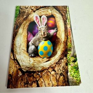 4 Avanti Greeting cards - squirrel with bunny ears collecting Easter eggs